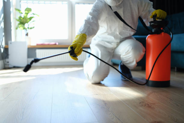 Reliable Biohazard Cleanup contractor in Oakwood, IL by Trauma Clean Pros